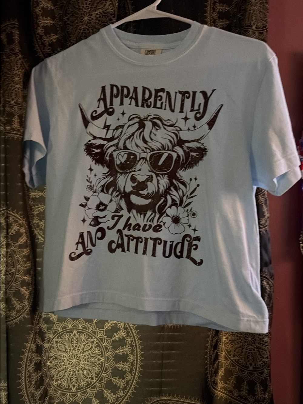 Light Blue Graphic Women’s Tee - 'Apparently I Have An Attitude' & Black F* that